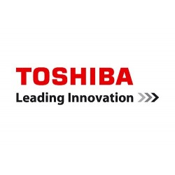 Toshiba (1)